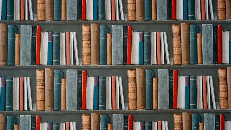 bookshelves filled with books
