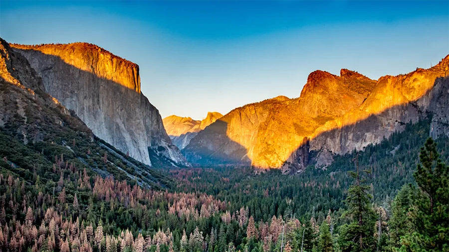 Yosemite National Park